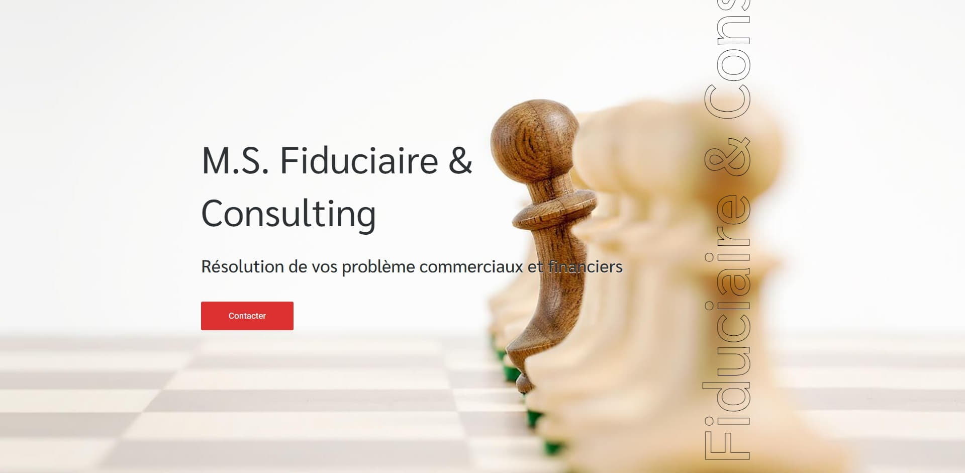 Case Study - M.S. Fiduciaire & Consulting - Presentational Image